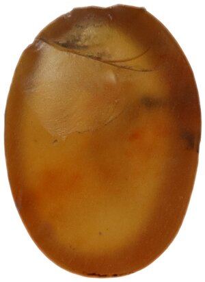 reverse: Carnelian intaglio with engraved crayfish in incuse.  Greek  10x7 mm.   Chipped