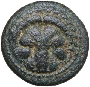 obverse: Bruttium, Terina. AE 21 mm, 350-275 BC
