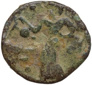 reverse: Himera. AE 15.5 mm, c. 420-409/8 BC