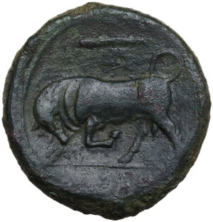 reverse: Syracuse.  Hieron II (274-216 BC).. AE, 20mm, 274-216 BC