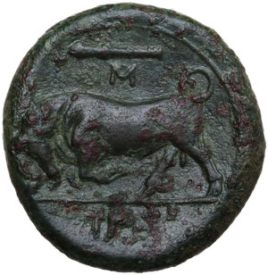 reverse: Syracuse.  Hieron II (274-216 BC).. AE, 274-216 BC