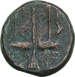 reverse: Syracuse.  Hieron II (274-215 BC).. AE 18 mm. c. 240-215 BC