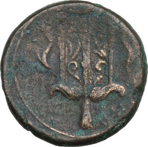 reverse: Syracuse.  Hieron II (274-215 BC).. AE 19.5 mm. c. 240-215 BC