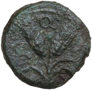 reverse: Uncertain mint.  Under roman rule.. AE 16.5 mm, c. 204-190 BC