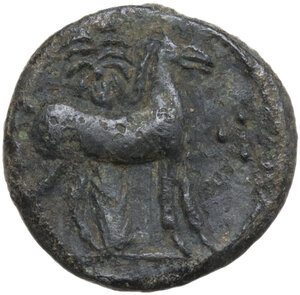 reverse: AE 15.5 mm, c. 310-280 BC