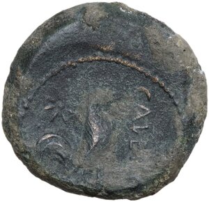 reverse: Samnium, Southern Latium and Northern Campania, Cales. AE. c. 265-240 BC