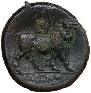 reverse: Samnium, Southern Latium and Northern Campania, Cales. AE 20.5 mm, c. 265-240 BC