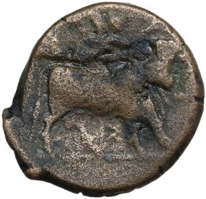 reverse: Samnium, Southern Latium and Northern Campania, Compulteria. AE 20 mm. c. 265-240 BC