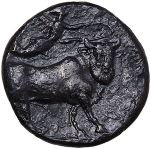 reverse: Central and Southern Campania, Neapolis. AR Nomos, c. 300 BC