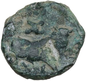 reverse: Central and Southern Campania, Neapolis. AE 16 mm, c. 300-275 BC