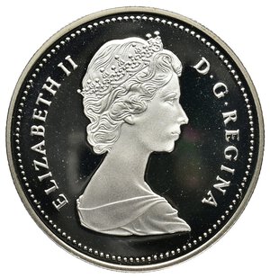 reverse: CANADA 1 Dollaro argento 1989 Fleuve McKenzie River  IN CONFEZIONE ORIGINALE