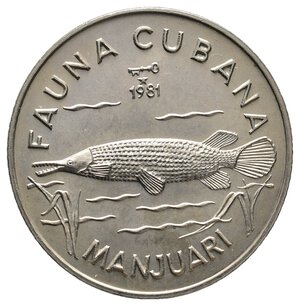 obverse: CUBA 1 Peso Fauna Cubana - Manjuari 1981