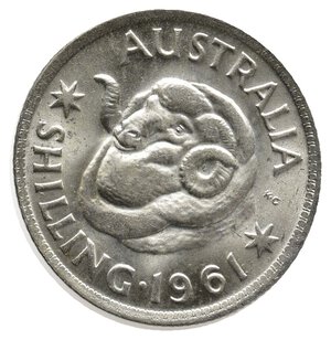 obverse: AUSTRALIA  Shilling argento 1961