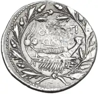 lot 338