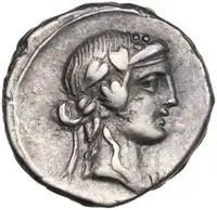 lot 354