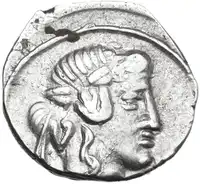 lot 355