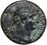 lot 513