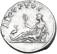 lot 519