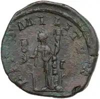 lot 593