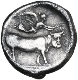 reverse: Central and Southern Campania, Neapolis. AR Nomos, c. 350-325 BC