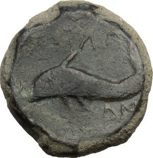 reverse: Northern Apulia, Salapia. AE 20 mm. c. 275-250