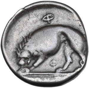 reverse: Northern Lucania, Velia. AR Didrachm, c. 334-300 BC