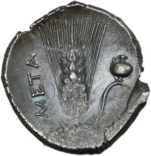 reverse: Southern Lucania, Metapontum. AR Stater, c. 340-330