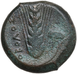 reverse: Southern Lucania, Metapontum. AE Obol, c. 425-350 BC