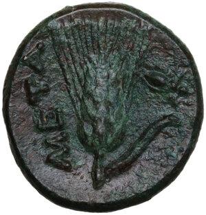 reverse: Southern Lucania, Metapontum. AE 14 mm. c. 300-250 BC