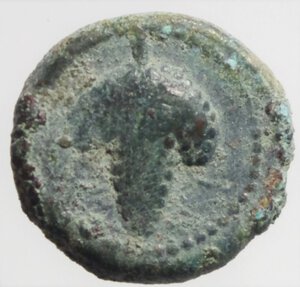 reverse: arpi