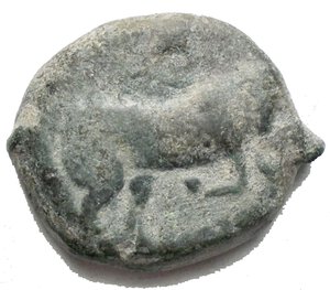 reverse: Mondo Greco - Apulia Arpi (Circa 275-250 a.C.) AE 22 mm. d/ Toro cozzante a destra. R/ Cavallo al galoppo a destra. 9,21 gr. HN Italy 645. BB+ Patina verde
