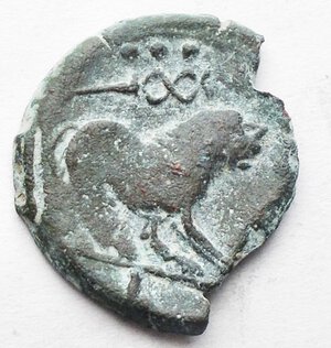 obverse: Mondo Greco - APULIA. Luceria. Circa late 3rd Century BC. Æ Uncia (1,97 g). d/Male head right r/ Lion walking right; caduceus above, L in exergue. SNG ANS -; HN Italy -; Garucci pl. 92, 26. Very rare.