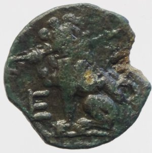 reverse: apulia venusia
