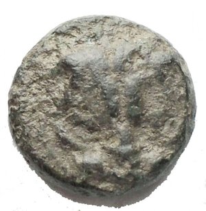 reverse: Mondo Greco - Bruttium, Rhegium. AE 11 mm. 350-270 a.C. D/ Testa di leone di fronte. R/ Testa laureata di Apollo a destra. SNG ANS 699. g.1.81 qBB-BB