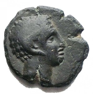 obverse: Mondo Greco - Metaponto Ae. d/ Apollo carneios a ds r/ Spiga. g 1,76. BB. Patina verde scuro. Raro