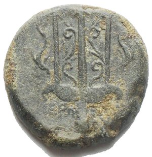 obverse: Mondo Greco - Sicilia. Siracusa. AE 19 mm. 274-216 a.C. D/ Testa di Poseidone a sinistra. R/ Tridente tra due delfini. Cfr. SNG ANS 964 e segg. g 6,05. BB. Patina verde