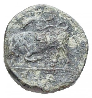 reverse: Mondo Greco - Sicilia. Siracusa. Agatocle (317-289) Ae ca 317-310 a.C. g 2,15. mm 15,52. d/ Testa di Kore a sn. a ds spiga di grano (?) r/ Toro cozzante a sn. sopra delfino, in ex lettere. Rif CNS II n. 101. Variante rara. BB