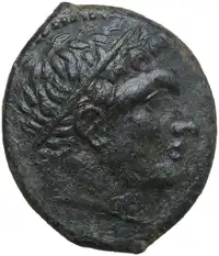 lot 195