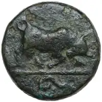 lot 223