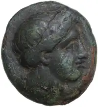 lot 225