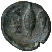 Reverse image