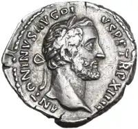 lot 523
