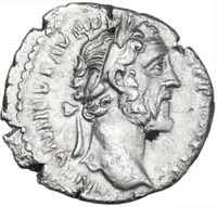 lot 524