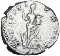 lot 524