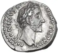 lot 525