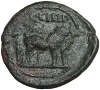 lot 531