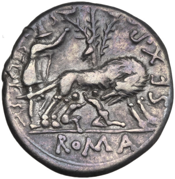Die Römische Republik