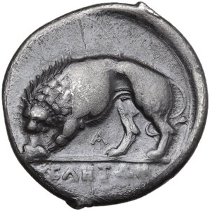 reverse: Northern Lucania, Velia. AR Didrachm, c. 334-330 BC