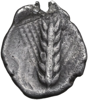 reverse: Southern Lucania, Metapontum. AR Didrachm, c. 400-340 BC