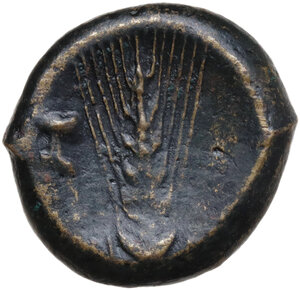 reverse: Southern Lucania, Metapontum. AE Obol, c. 400-340 BC